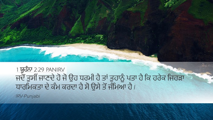 1 ਯੂਹੰਨਾ 2:29 PANIRV Bible Verse Image