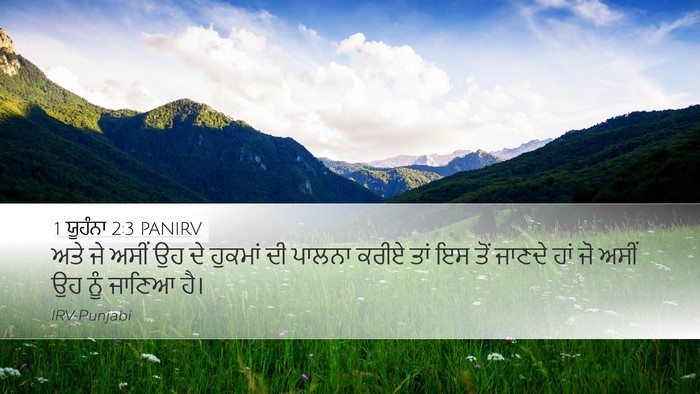 1 ਯੂਹੰਨਾ 2:3 PANIRV Bible Verse Image