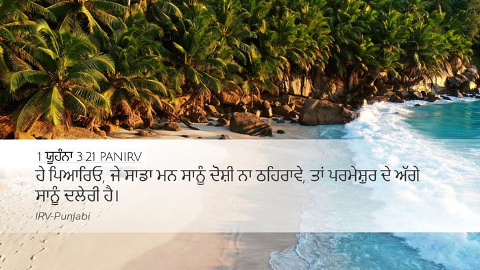 1 ਯੂਹੰਨਾ 3:21 PANIRV Bible Verse Image
