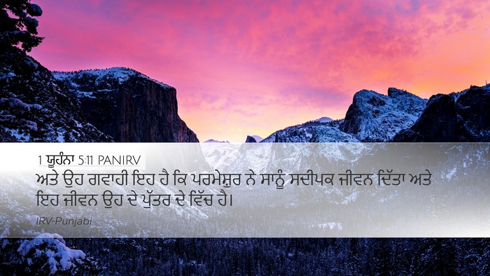 1 ਯੂਹੰਨਾ 5:11 PANIRV Bible Verse Image