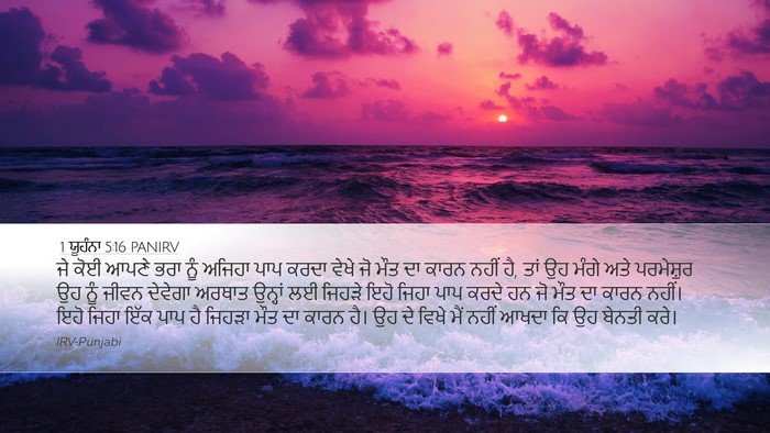 1 ਯੂਹੰਨਾ 5:16 PANIRV Bible Verse Image