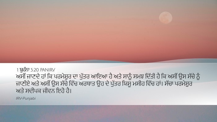 1 ਯੂਹੰਨਾ 5:20 PANIRV Bible Verse Image