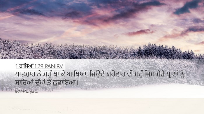 1 ਰਾਜਿਆਂ 1:29 PANIRV Bible Verse Image
