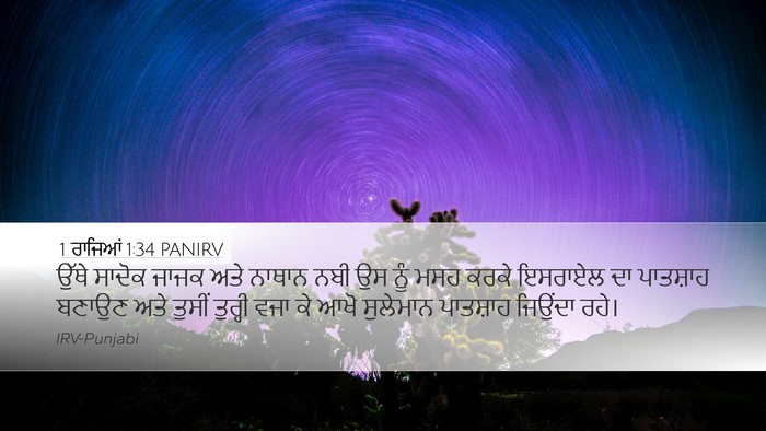 1 ਰਾਜਿਆਂ 1:34 PANIRV Bible Verse Image