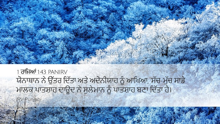 1 ਰਾਜਿਆਂ 1:43 PANIRV Desktop Wallpaper - ਯੋਨਾਥਾਨ ਨੇ ਉੱਤਰ - Desktop Bible Verse Wallpaper