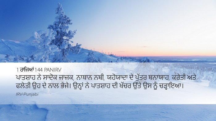 1 ਰਾਜਿਆਂ 1:44 PANIRV Bible Verse Image