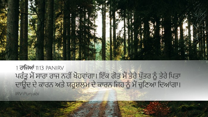 1 ਰਾਜਿਆਂ 11:13 PANIRV Bible Verse Image