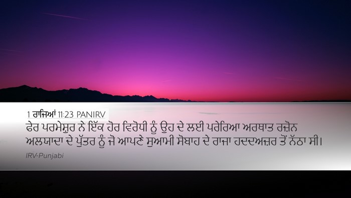 1 ਰਾਜਿਆਂ 11:23 PANIRV Bible Verse Image