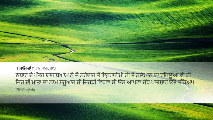 1 ਰਾਜਿਆਂ 11:26 PANIRV Bible Verse Image