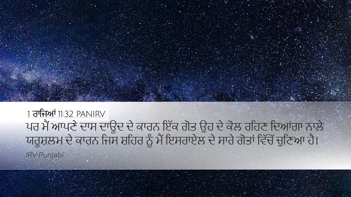 1 ਰਾਜਿਆਂ 11:32 PANIRV Bible Verse Image