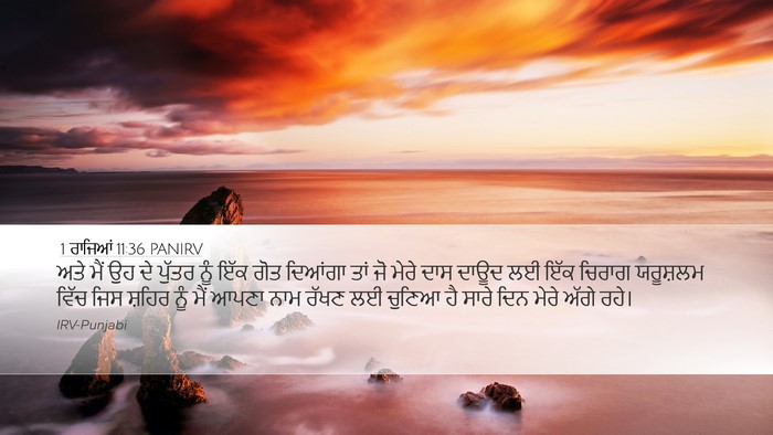 1 ਰਾਜਿਆਂ 11:36 PANIRV Bible Verse Image