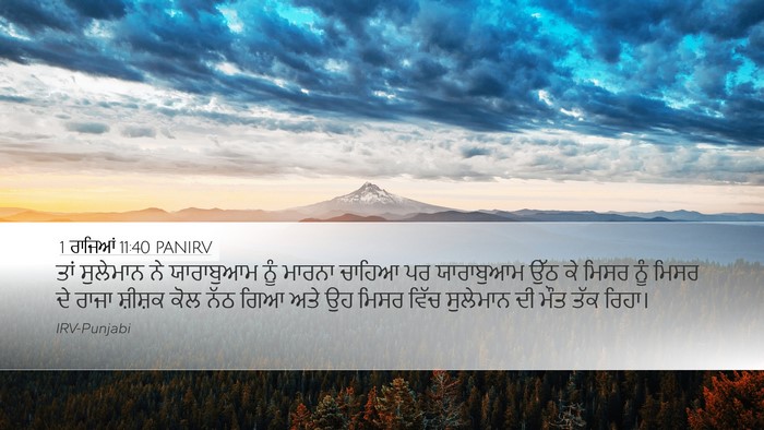 1 ਰਾਜਿਆਂ 11:40 PANIRV Bible Verse Image