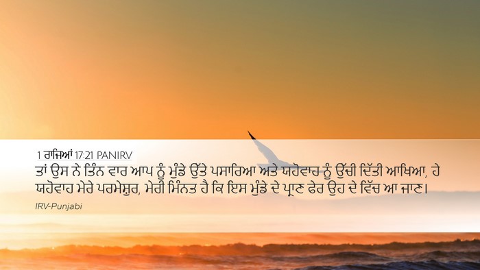 1 ਰਾਜਿਆਂ 17:21 PANIRV Bible Verse Image
