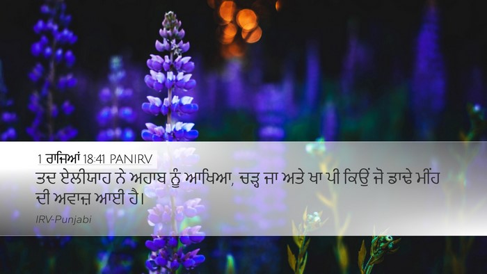 1 ਰਾਜਿਆਂ 18:41 PANIRV Bible Verse Image