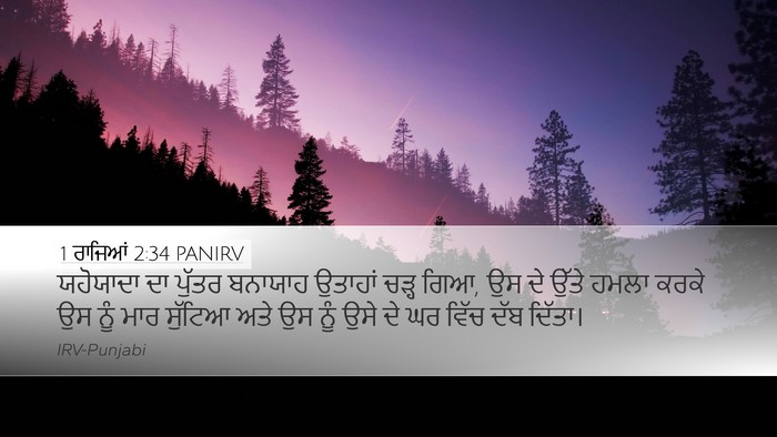 1 ਰਾਜਿਆਂ 2:34 PANIRV Bible Verse Image