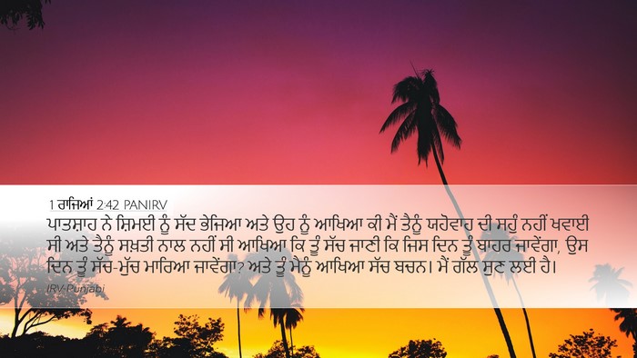 1 ਰਾਜਿਆਂ 2:42 PANIRV Bible Verse Image
