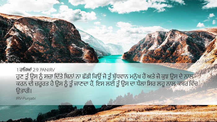 1 ਰਾਜਿਆਂ 2:9 PANIRV Bible Verse Image