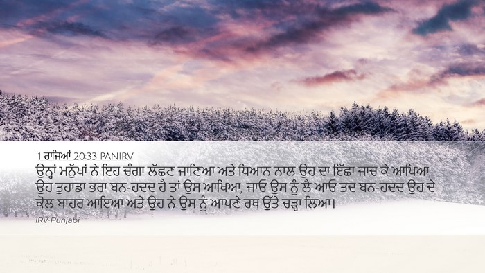 1 ਰਾਜਿਆਂ 20:33 PANIRV Bible Verse Image