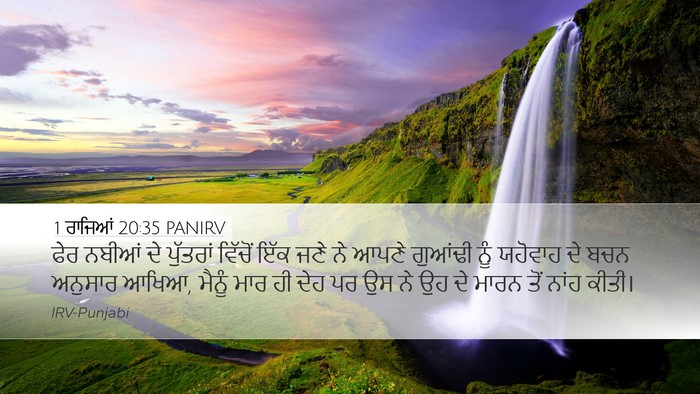 1 ਰਾਜਿਆਂ 20:35 PANIRV Bible Verse Image