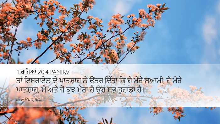 1 ਰਾਜਿਆਂ 20:4 PANIRV Bible Verse Image