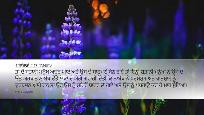 1 ਰਾਜਿਆਂ 21:13 PANIRV Bible Verse Image