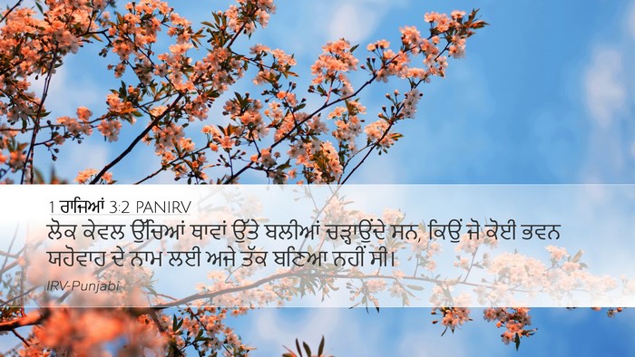 1 ਰਾਜਿਆਂ 3:2 PANIRV Bible Verse Image