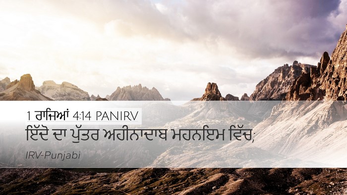 1 ਰਾਜਿਆਂ 4:14 PANIRV Bible Verse Image