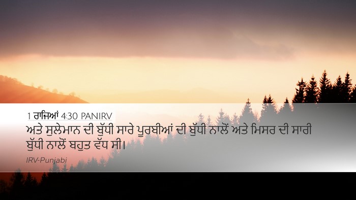 1 ਰਾਜਿਆਂ 4:30 PANIRV Bible Verse Image