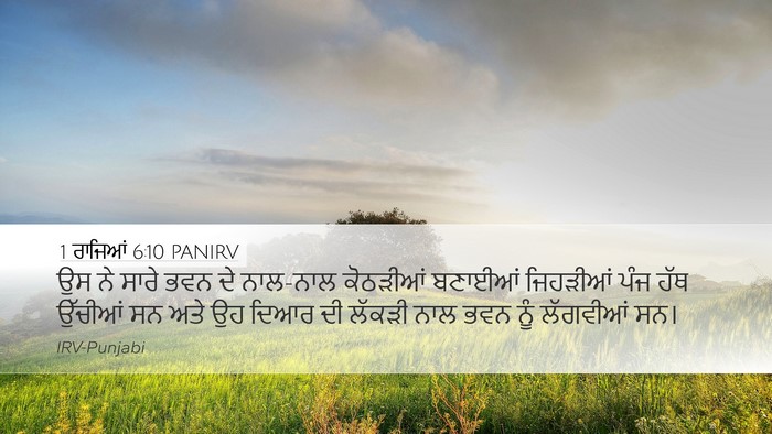 1 ਰਾਜਿਆਂ 6:10 PANIRV Bible Verse Image