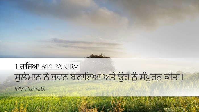 1 ਰਾਜਿਆਂ 6:14 PANIRV Bible Verse Image