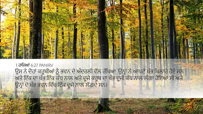 1 ਰਾਜਿਆਂ 6:27 PANIRV Bible Verse Image