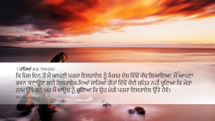 1 ਰਾਜਿਆਂ 8:16 PANIRV Bible Verse Image