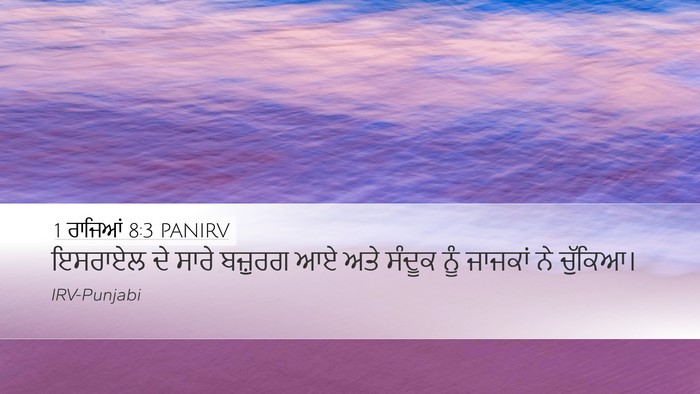 1 ਰਾਜਿਆਂ 8:3 PANIRV Bible Verse Image