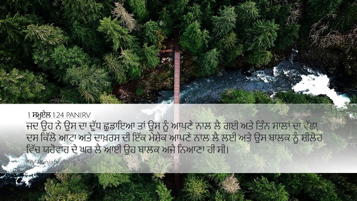 1 ਸਮੂਏਲ 1:24 PANIRV Bible Verse Image