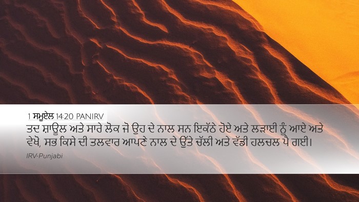1 ਸਮੂਏਲ 14:20 PANIRV Bible Verse Image