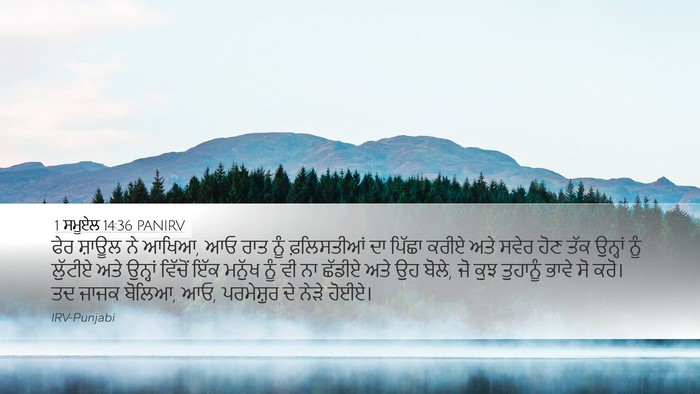 1 ਸਮੂਏਲ 14:36 PANIRV Bible Verse Image