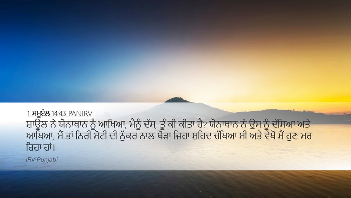 1 ਸਮੂਏਲ 14:43 PANIRV Bible Verse Image