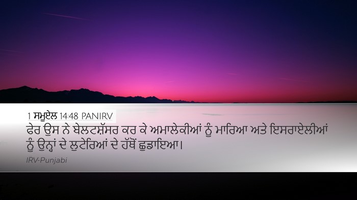 1 ਸਮੂਏਲ 14:48 PANIRV Bible Verse Image