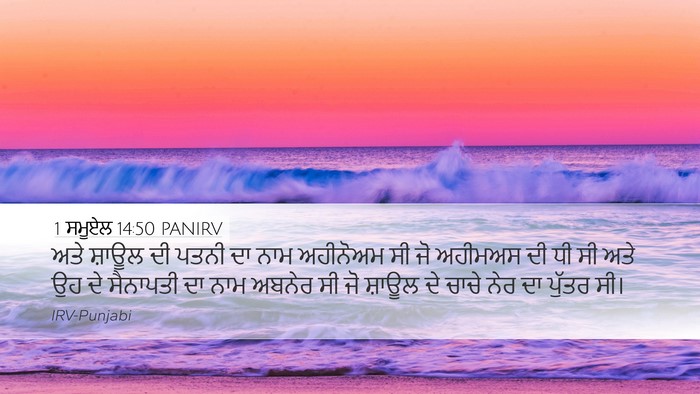 1 ਸਮੂਏਲ 14:50 PANIRV Bible Verse Image