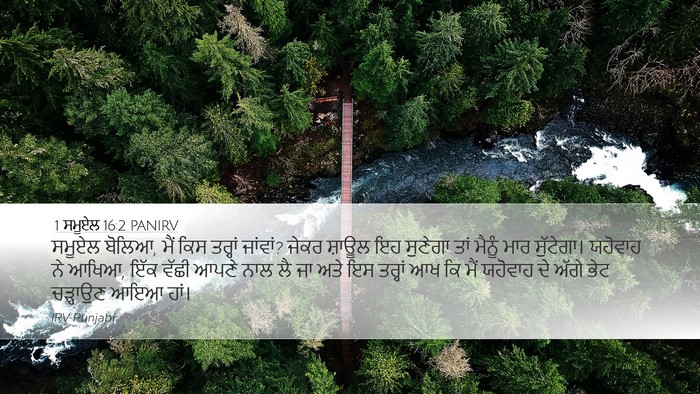 1 ਸਮੂਏਲ 16:2 PANIRV Bible Verse Image