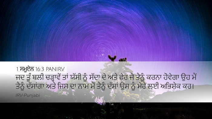 1 ਸਮੂਏਲ 16:3 PANIRV Bible Verse Image