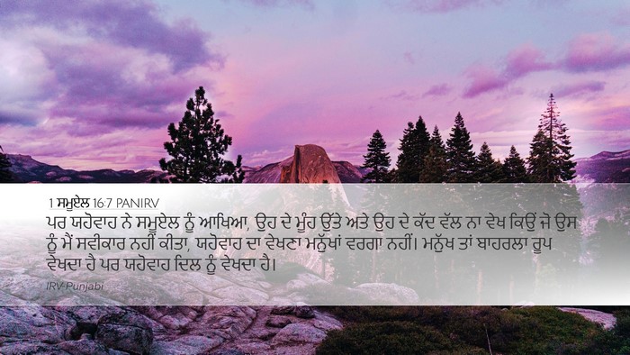 1 ਸਮੂਏਲ 16:7 PANIRV Bible Verse Image