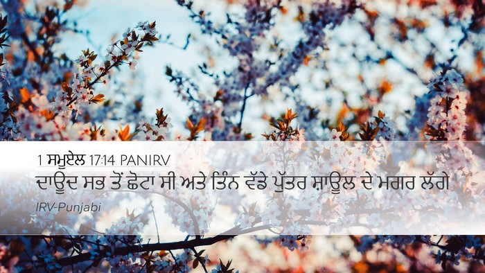 1 ਸਮੂਏਲ 17:14 PANIRV Desktop Wallpaper - ਦਾਊਦ ਸਭ ਤੋਂ ਛੋਟਾ ਸੀ - Desktop Bible Verse Wallpaper