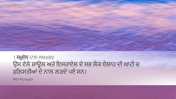 1 ਸਮੂਏਲ 17:19 PANIRV Bible Verse Image