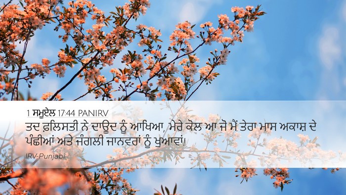 1 ਸਮੂਏਲ 17:44 PANIRV Bible Verse Image
