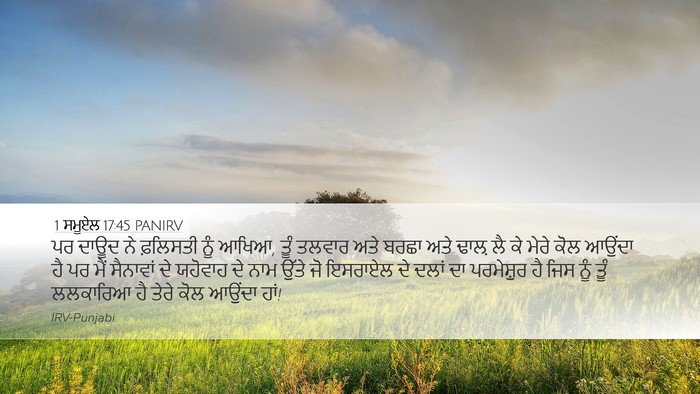 1 ਸਮੂਏਲ 17:45 PANIRV Bible Verse Image