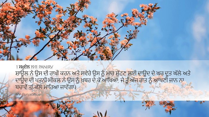 1 ਸਮੂਏਲ 19:11 PANIRV Bible Verse Image