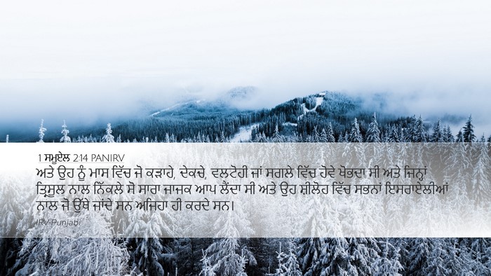1 ਸਮੂਏਲ 2:14 PANIRV Desktop Wallpaper - ਅਤੇ ਉਹ ਨੂੰ ਮਾਸ ਵਿੱਚ - Desktop Bible Verse Wallpaper