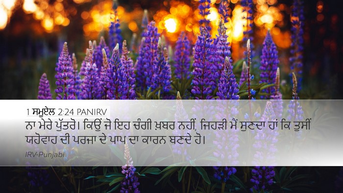 1 ਸਮੂਏਲ 2:24 PANIRV Desktop Wallpaper - ਨਾ ਮੇਰੇ ਪੁੱਤਰੋ। - Desktop Bible Verse Wallpaper