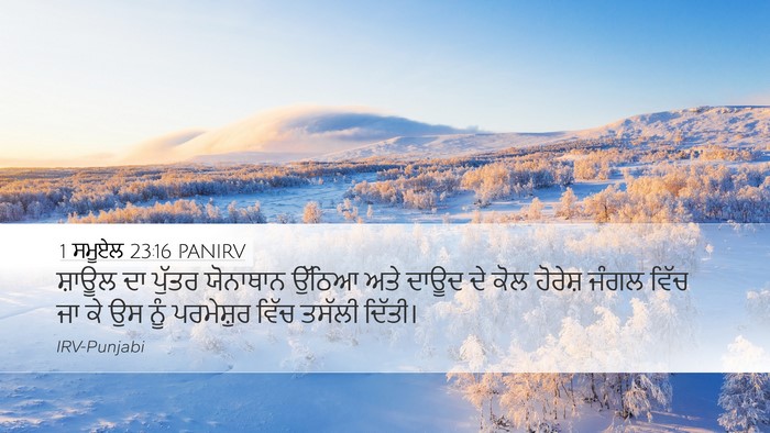 1 ਸਮੂਏਲ 23:16 PANIRV Bible Verse Image
